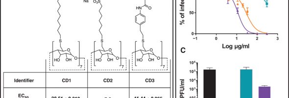 A New Approach to Treating Viral Infections: Modified Carbohydrates Exhibiting Virucidal Activity